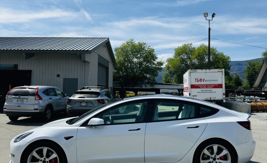 2021 TESLA MODEL 3 DUAL MOTORS PERFORMANCE PKG