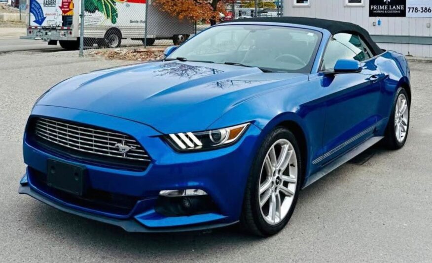 MUSTANG