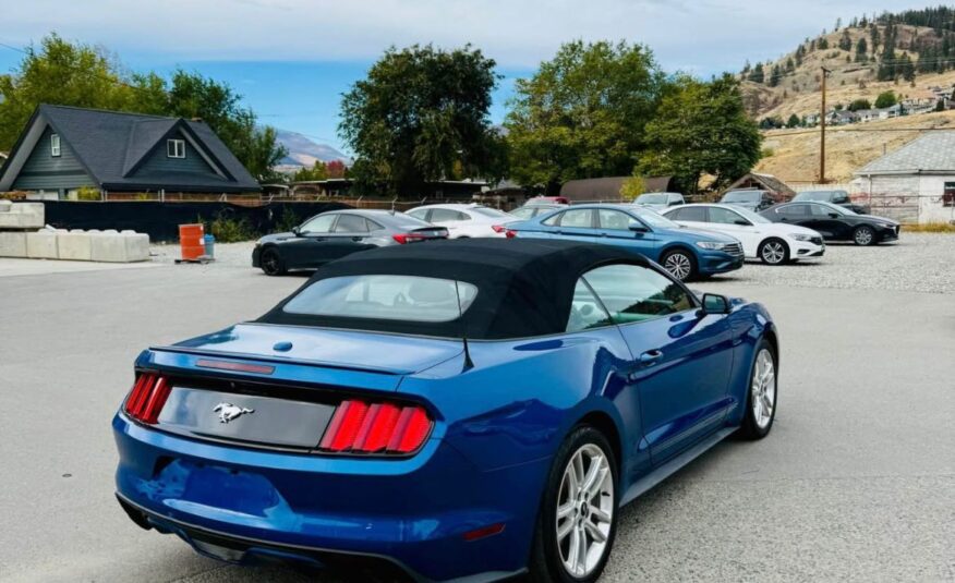 MUSTANG