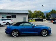 MUSTANG