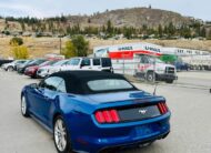 MUSTANG