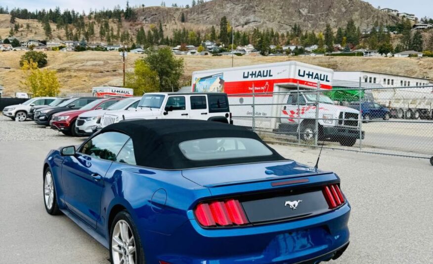 MUSTANG