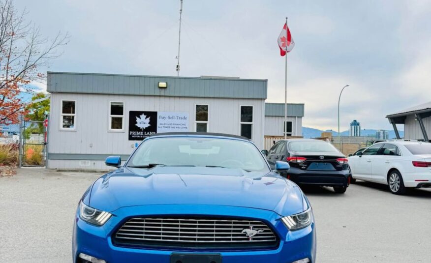 MUSTANG
