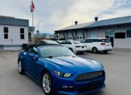 MUSTANG