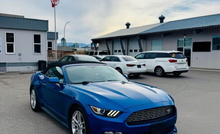 MUSTANG