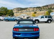 MUSTANG