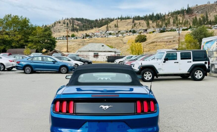 MUSTANG